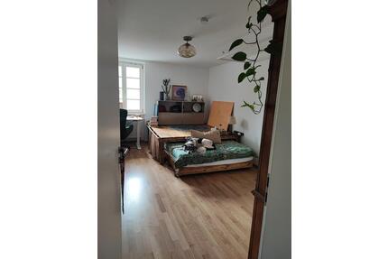 Schönes renoviertes Zimmer in Mannheims grüner Lage