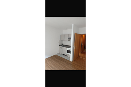 Wohnung zum Mieten in Dresden 318,89 € 24.38 m²