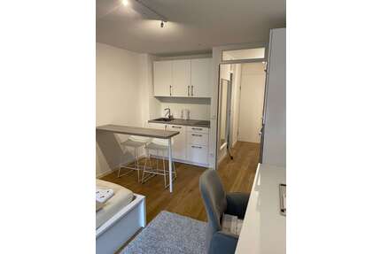 Wohnung zum Mieten in München 1.190,00 € 25 m²