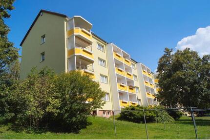 2 Zimmer Wohnung- ohne Kaution! - Hohenstein-Ernstthal