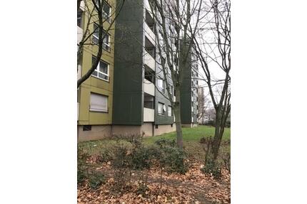 Einpacken - auspacken - Einziehen und Wohlfühlen - Frankfurt am Main Nied