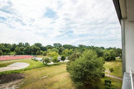 1 Zimmer Mietwohnung in Senftenberg kleine aber feine 1. Raum Wohnung