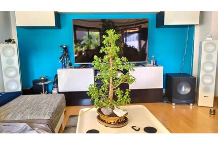 Möblierte 2 ZKB Wohnung im Universitätsviertel - Augsburg Antonsviertel