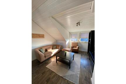 Charmante, voll möblierte, renovierte 2-Zimmer Wohnung in Wernau - Wernau (Neckar)