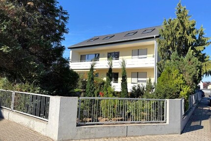 albero:) renovierte, lichtdurchflutete 4 Zimmer in ruhiger Anwohnerlage und kleiner Wohneinheit - Seligenstadt