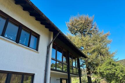 Charmante 3-Zimmer Wohnung mit Talblick - Malsburg-Marzell