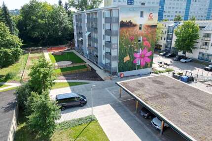 Wohnung zum Mieten in Chemnitz 321,75 € 48.75 m²