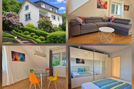 Möblierte Wohnung für Pendler Geschäftsreisende Business Urlaub - Bonn Friesdorf