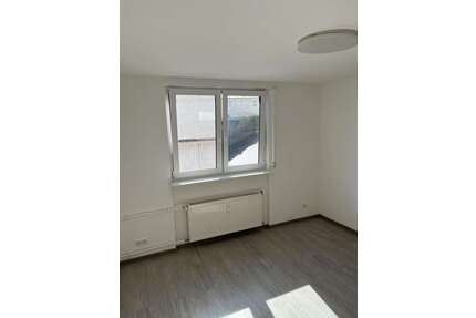 Wohnung zum Mieten in Mainz 420,00 € 20 m²