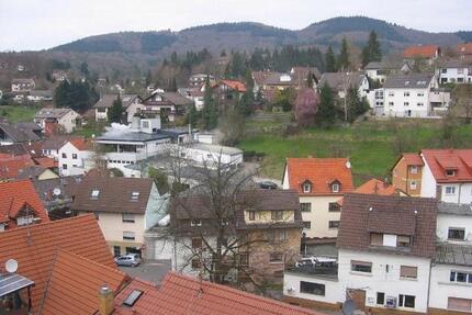 Schöne helle 3-Zimmer Wohnung in Schriesheim-Altenbach
