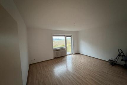 2 Zimmer Wohnung mit Balkon - 650,00&nbsp;EUR Kaltmiete, ca.&nbsp; 60,00&nbsp;m&sup2; in Albisheim (Pfrimm) (PLZ: 67308)