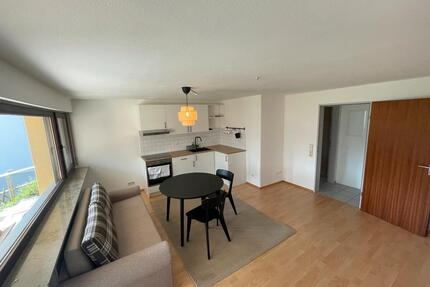 1 Zimmer Wohnung - 570,00&nbsp;EUR Kaltmiete, ca.&nbsp; 30,00&nbsp;m&sup2; in Oberboihingen (PLZ: 72644)