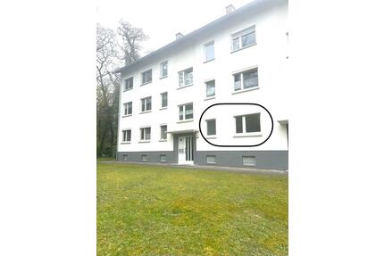 2 Zimmer Wohnung mit Parkplatz frisch renoviert - Budenheim