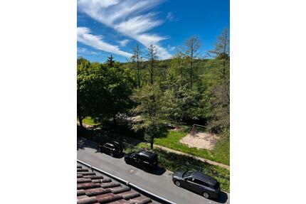 Erstbezug nach Sanierung: Helle DG-Wohnung zu vermieten - Wiesbaden Bierstadt