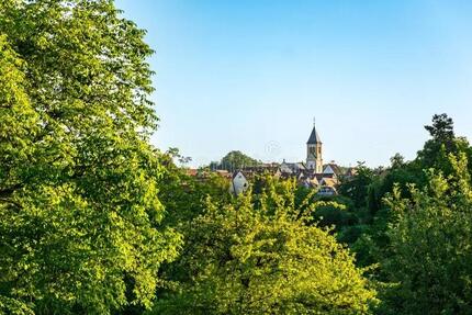 Studenten-Zimmer in Familien-WG zu vermieten - Tübingen