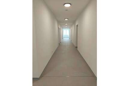 Wohnung zum Mieten in Köln 800,00 € 26 m²