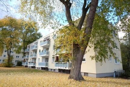 Charmante, renovierte 2-Zimmer Wohnung mit sonnigem Balkon - Dortmund Aplerbeck