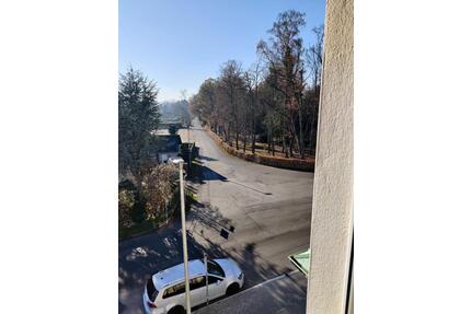 Helle 2 Zimmer Wohnung neben Stadtpark mit Gartenanteil - Limbach-Oberfrohna