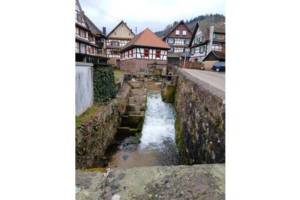 Schöne 4 Zimmer Wohnung in Reichental - Gernsbach