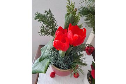 wg zimmer in Groß Gerau - 400,00&nbsp;EUR Kaltmiete, ca.&nbsp; 70,00&nbsp;m&sup2; in Groß-Gerau (PLZ: 64521)