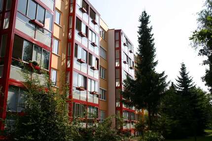 Wohnen auf Zeit in Zeitz 550,00 €