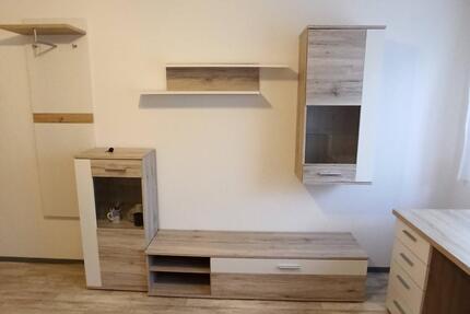 Möbliertes Appartement 1 ZKnB 18 m² neu renoviert - ruhige Lage - Mainz Mombach