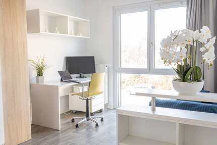 Wohnen auf Zeit in Potsdam 845,00 €