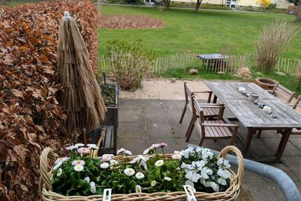 4 Zimmer Wohnung mit Loggia, EBK, Badewanne, Erdgeschoss mit Garten, Stellplatz, ohne Einbauküche - Eckernförde