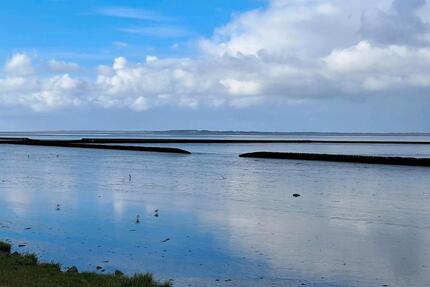 4 Zimmer Küche Bad GästeWC Balkon EG Haustiere erlaubt zu SOFORT - Wangerland
