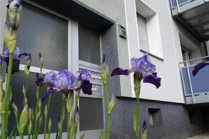 Dachgeschosswohnung 2,5 Zi. - 500,00&nbsp;EUR Kaltmiete, ca.&nbsp; 45,00&nbsp;m&sup2; in Gelsenkirchen (PLZ: 45888) Gelsenkirchen-Mitte