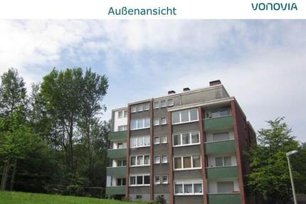 Bezugsfertig renovierte 2-Zimmerwohnung mit Balkon im EG (Hochparterre)! - Essen Stadtbezirk VI