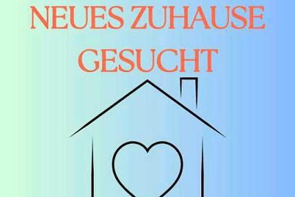 Such 2 Zimmer Wohnung in Schorndorf - Waiblingen