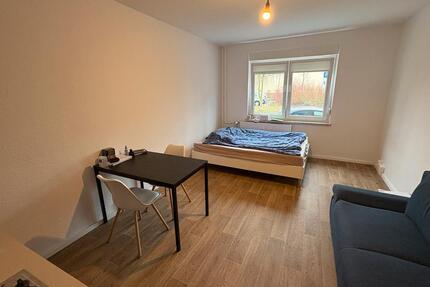 Schöne 1 Zimmer Wohnung - 270,00&nbsp;EUR Kaltmiete, ca.&nbsp; 18,00&nbsp;m&sup2; in Halle (Saale) (PLZ: 06128) Gesundbrunnen