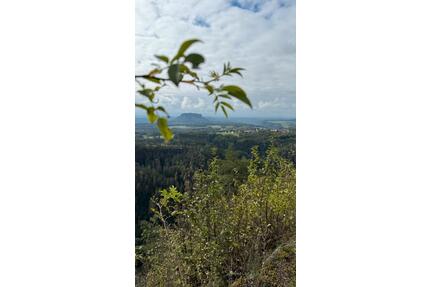 Helles möbliertes WG-Zimmer 16 qm am Elbradweg in Königstein