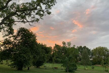 NICHT AMELSBÜREN; MÜNSTER !! Wohnen im Grünen und doch zentral- 190 qm 1.OG 3 Schlafzimmer Balkon