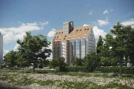 Wohnung zum Mieten in Magdeburg 365,00 € 38 m²