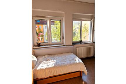 1 Zimmer Wohnung Studentenwohnheim Mannheim Untermiete Juli Augus