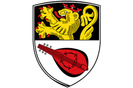 Hochwertige 4-Zimmer Wohnung mit Balkon und Stellplatz in Alzey