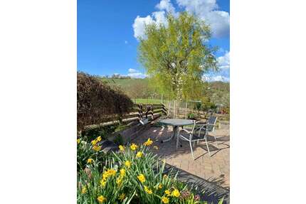 WG-Zimmer in Bensheim 1.750,00 € 20 m²