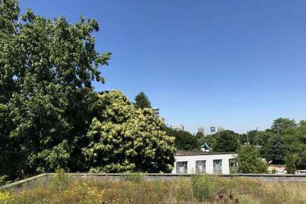 Wohnung zum Mieten in Düsseldorf 480,00 € 19.2 m²