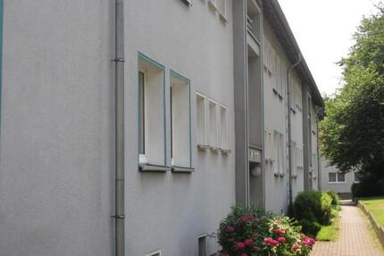 Renovierte, kleine 2-Zimmer-Wohnung in ruhiger Lage - Essen Stadtbezirk VI