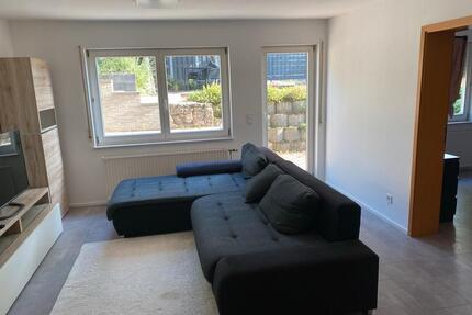 Helle 2-Zimmer Souterrainwohnung mit großer Terrasse - Gundelsheim