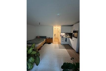 1. Zimmer Wohnung im Stuttgarter Westen (Schwabstr)