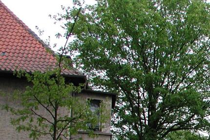 Zwei-Zimmer Dachgeschoß in Hohen Neuendorf