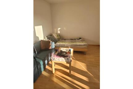 Sunny Furnished 1-Room Apartment with Balcony - Freiburg im Breisgau Betzenhausen