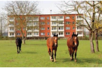 2x Bad, 110qm , 6 Zimmer , ländlich gelegen im Günen, nähe Demmin - Borrentin