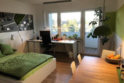 Ruhige 1-Zimmer Wohnung Fürth-Dambach - von Privat ab 01.06.2026