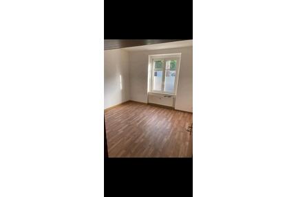 2 Zimmer Wohnung Plauen Mietwohnung