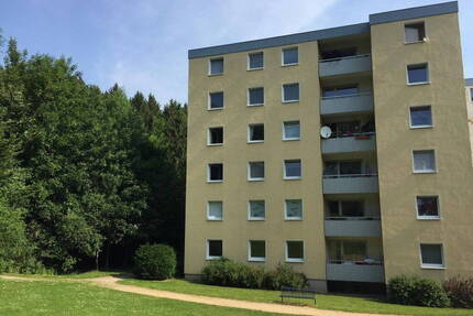 Große 4 Zimmer Wohnung mit Waldblick - Goslar Steinberg