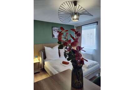 Wohnen auf Zeit in Mannheim 1.049,00 €